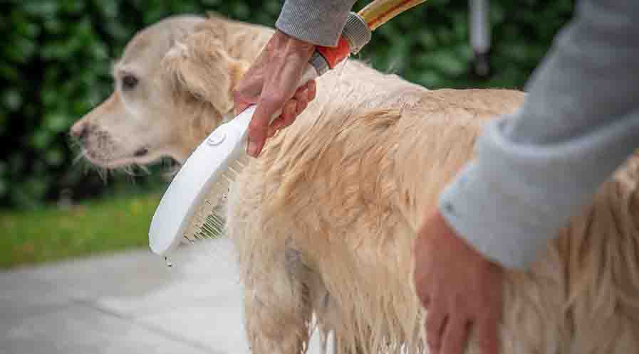 Hansgrohe launches new DogShower