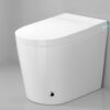 Hindware smart toilet